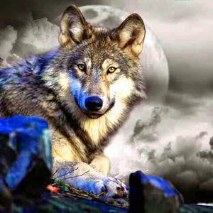 Meet your Posher, Warren